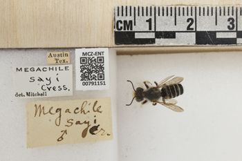 Media type: image;   Entomology 791151 Aspect: Labels